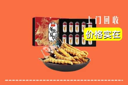 德宏陇川县回收冬虫夏草