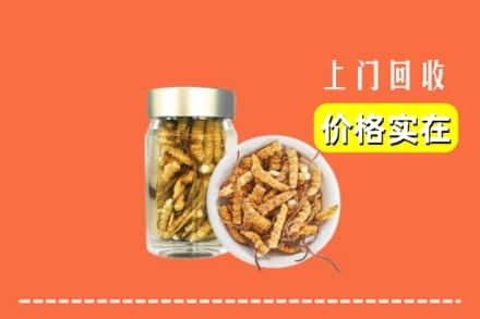 德宏陇川县回收散虫草