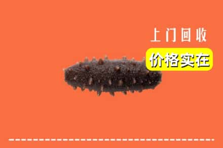德宏陇川县回收海参